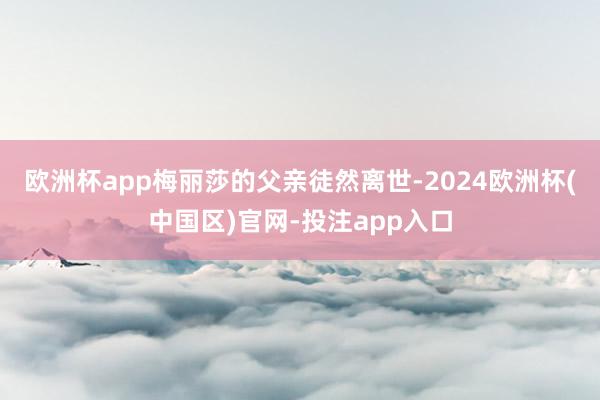欧洲杯app梅丽莎的父亲徒然离世-2024欧洲杯(中国区)官网-投注app入口