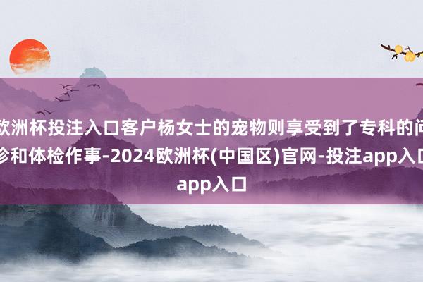 欧洲杯投注入口客户杨女士的宠物则享受到了专科的问诊和体检作事-2024欧洲杯(中国区)官网-投注app入口
