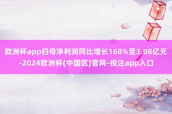 欧洲杯app归母净利润同比增长168%至3.08亿元-2024欧洲杯(中国区)官网-投注app入口