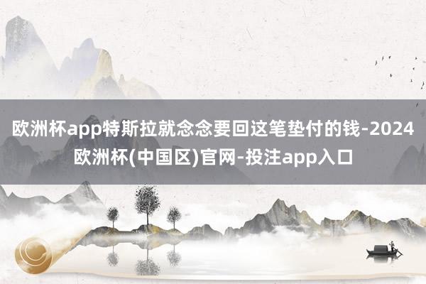欧洲杯app特斯拉就念念要回这笔垫付的钱-2024欧洲杯(中国区)官网-投注app入口