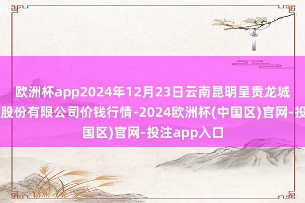 欧洲杯app2024年12月23日云南昆明呈贡龙城农家具规划股份有限公司价钱行情-2024欧洲杯(中国区)官网-投注app入口