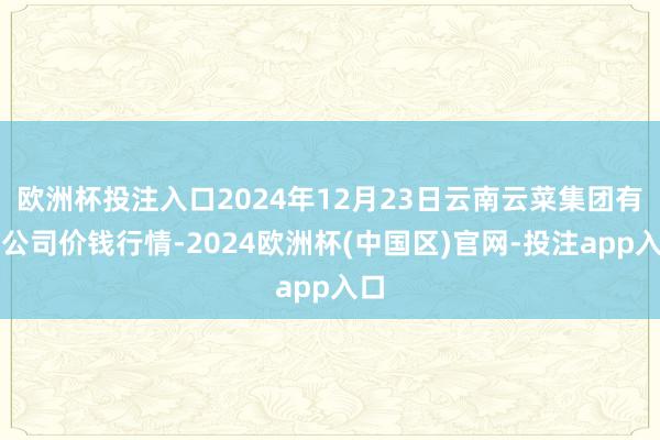 欧洲杯投注入口2024年12月23日云南云菜集团有限公司价钱行情-2024欧洲杯(中国区)官网-投注app入口