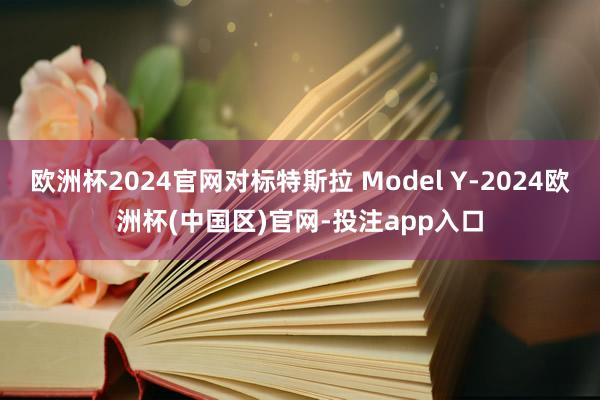 欧洲杯2024官网对标特斯拉 Model Y-2024欧洲杯(中国区)官网-投注app入口