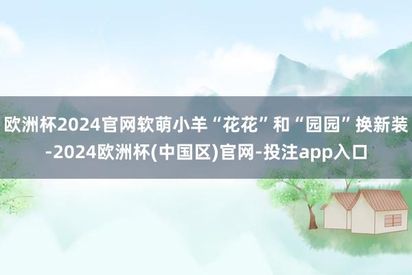 欧洲杯2024官网软萌小羊“花花”和“园园”换新装-2024欧洲杯(中国区)官网-投注app入口