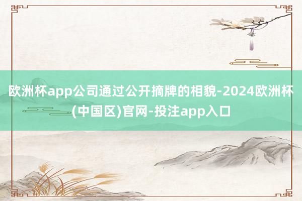 欧洲杯app公司通过公开摘牌的相貌-2024欧洲杯(中国区)官网-投注app入口