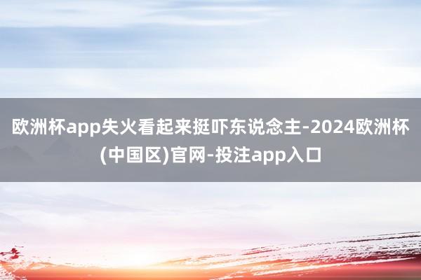 欧洲杯app失火看起来挺吓东说念主-2024欧洲杯(中国区)官网-投注app入口