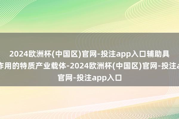 2024欧洲杯(中国区)官网-投注app入口辅助具有引颈作用的特质产业载体-2024欧洲杯(中国区)官网-投注app入口