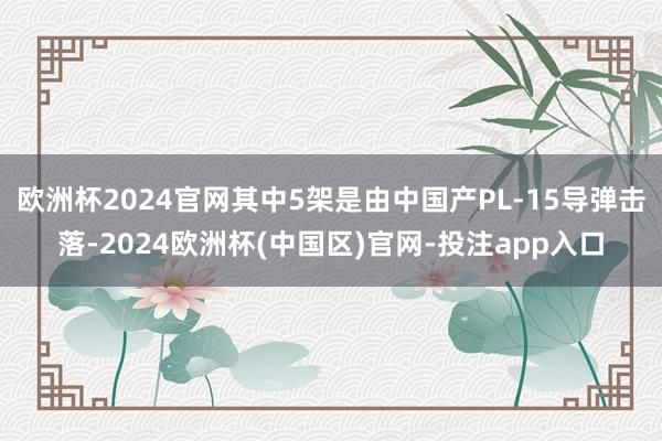 欧洲杯2024官网其中5架是由中国产PL-15导弹击落-2024欧洲杯(中国区)官网-投注app入口