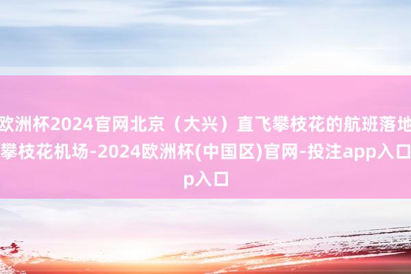 欧洲杯2024官网北京（大兴）直飞攀枝花的航班落地攀枝花机场-2024欧洲杯(中国区)官网-投注app入口
